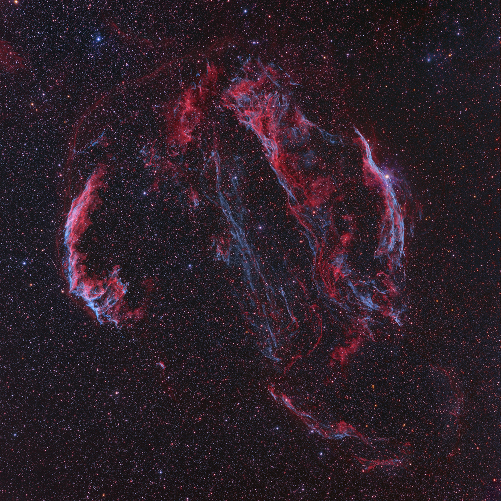 The Cygnus Loop