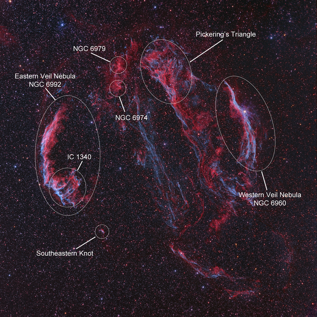 The Cygnus Loop