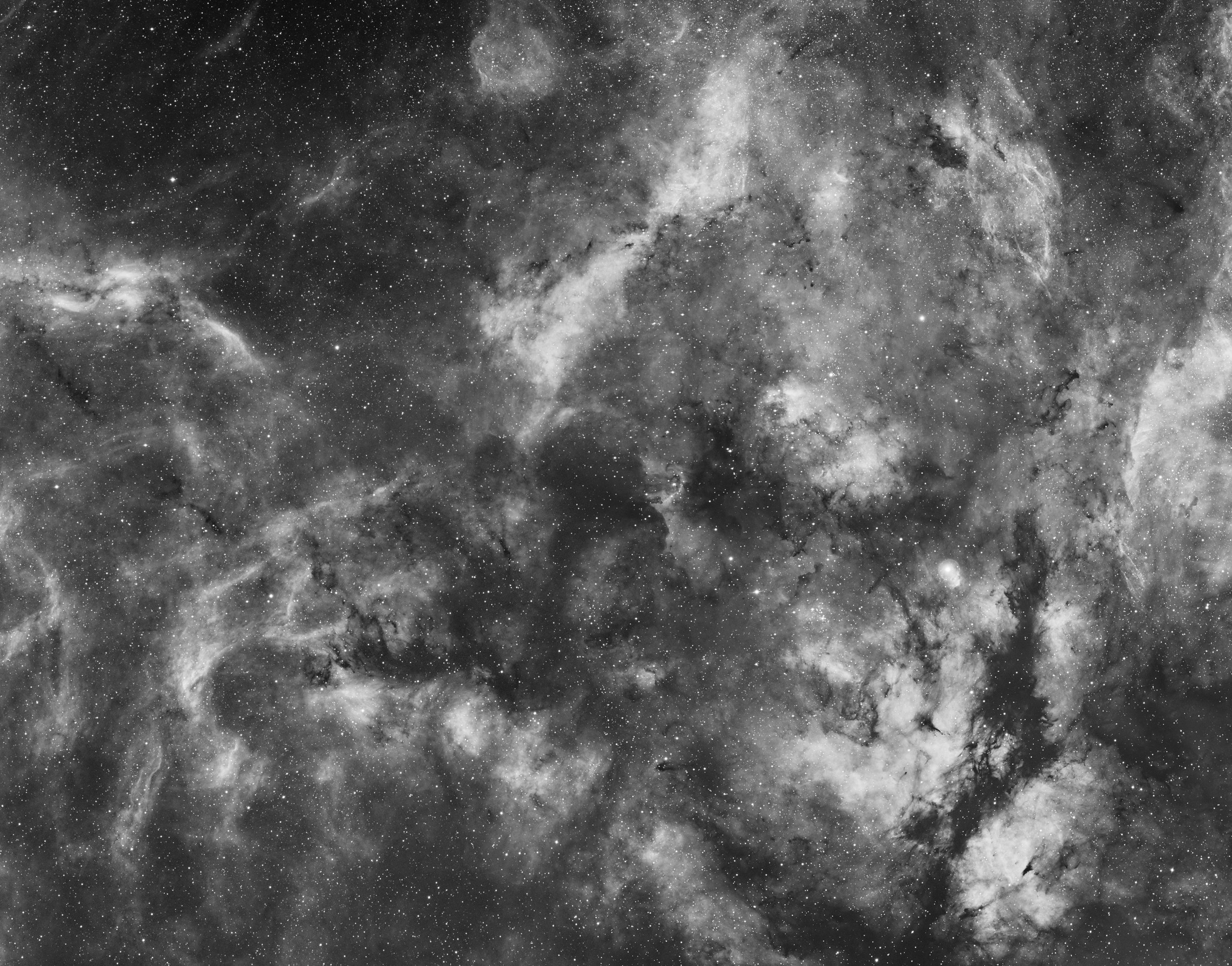 Cygnus starfield