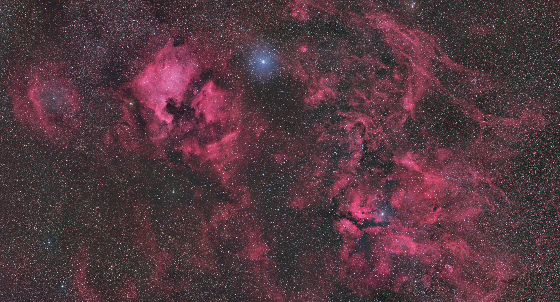 Cygnus