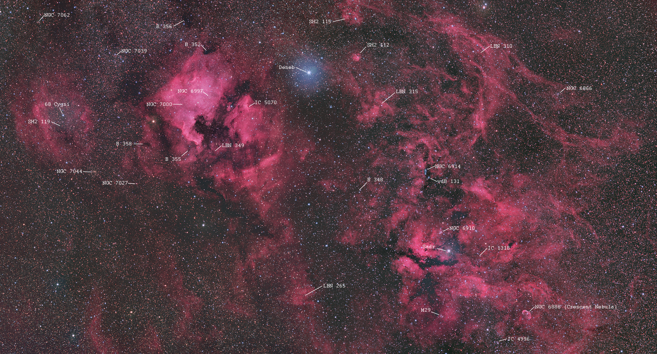 Cygnus