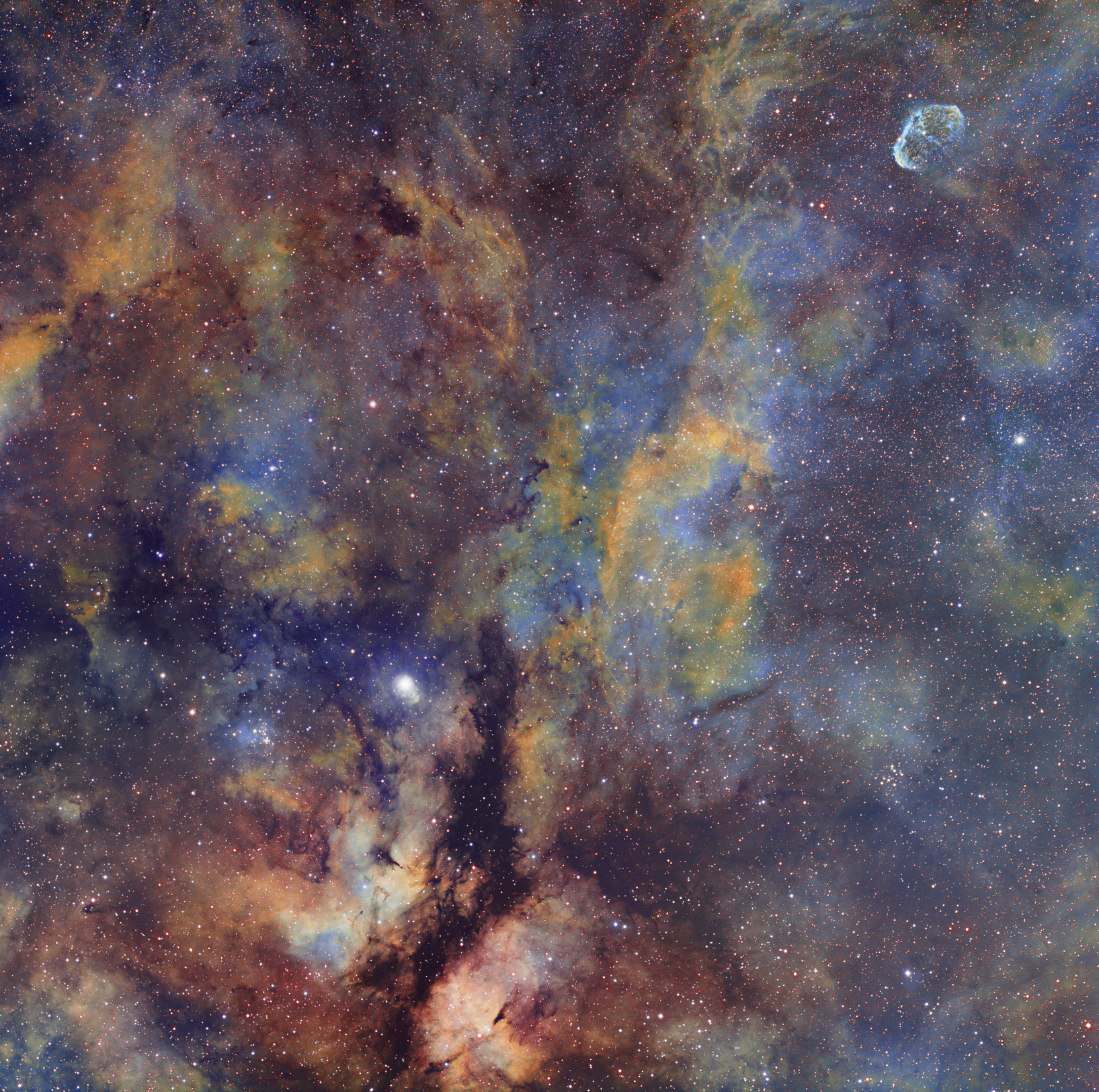 Cygnus Widefield