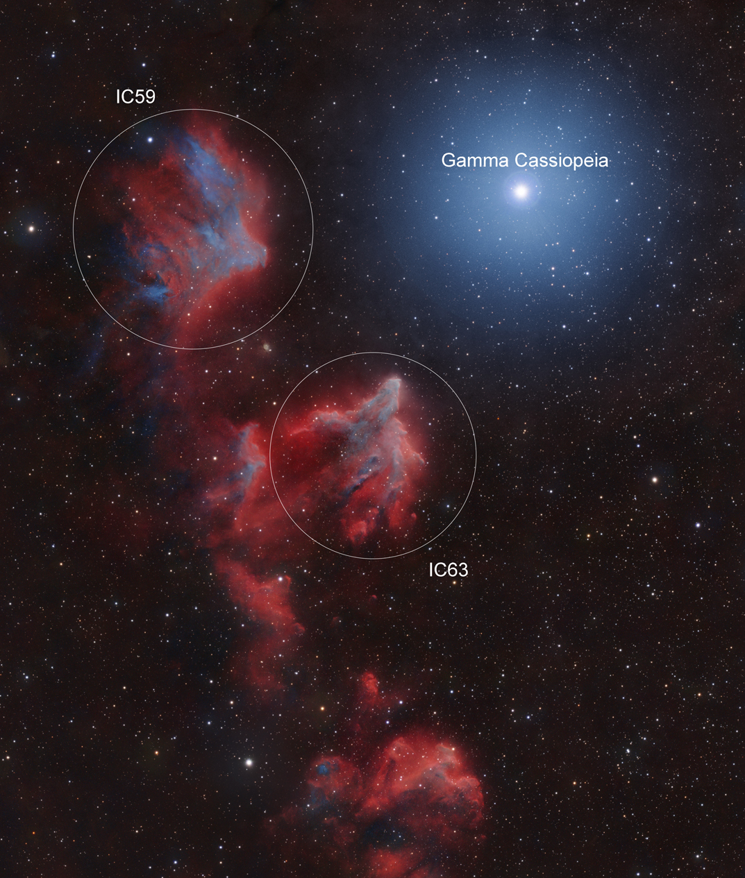 IC63