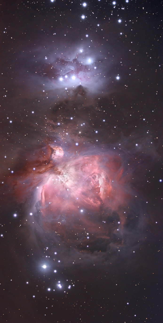 M42