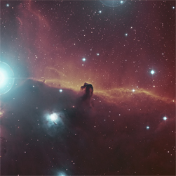 Horsehead