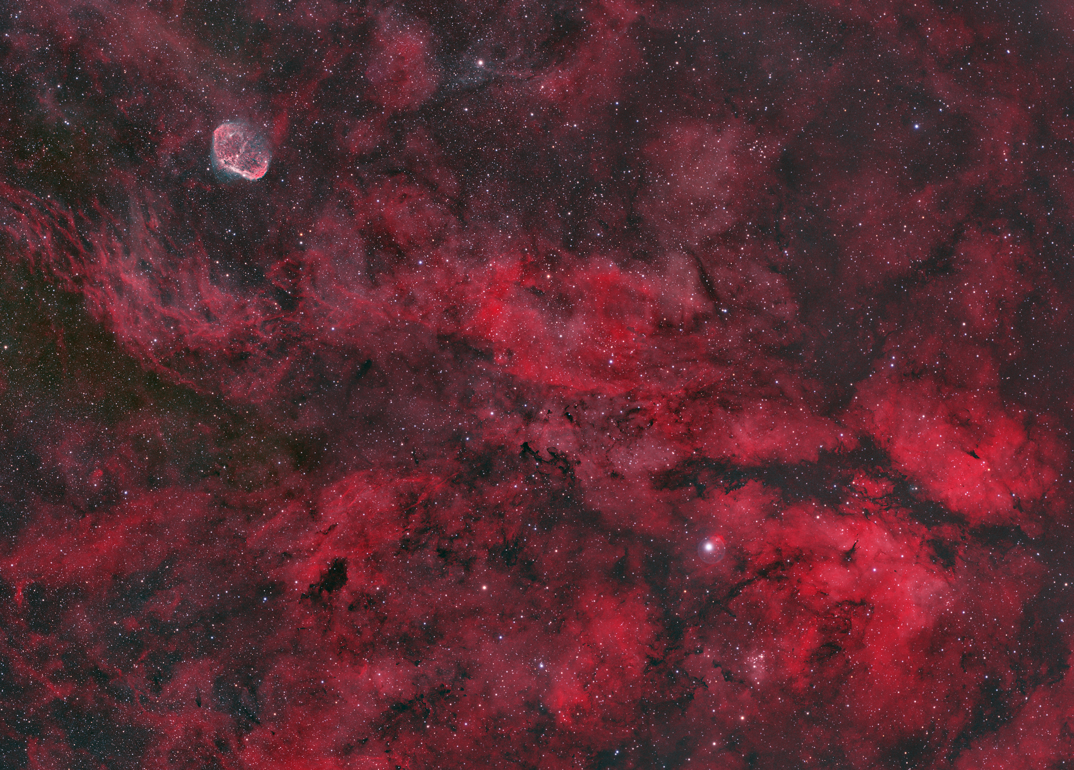 IC1318