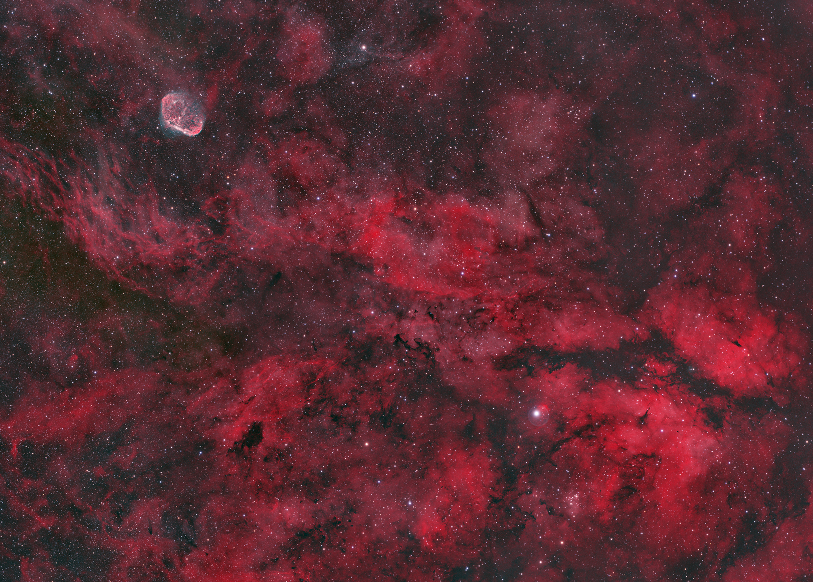 IC1318