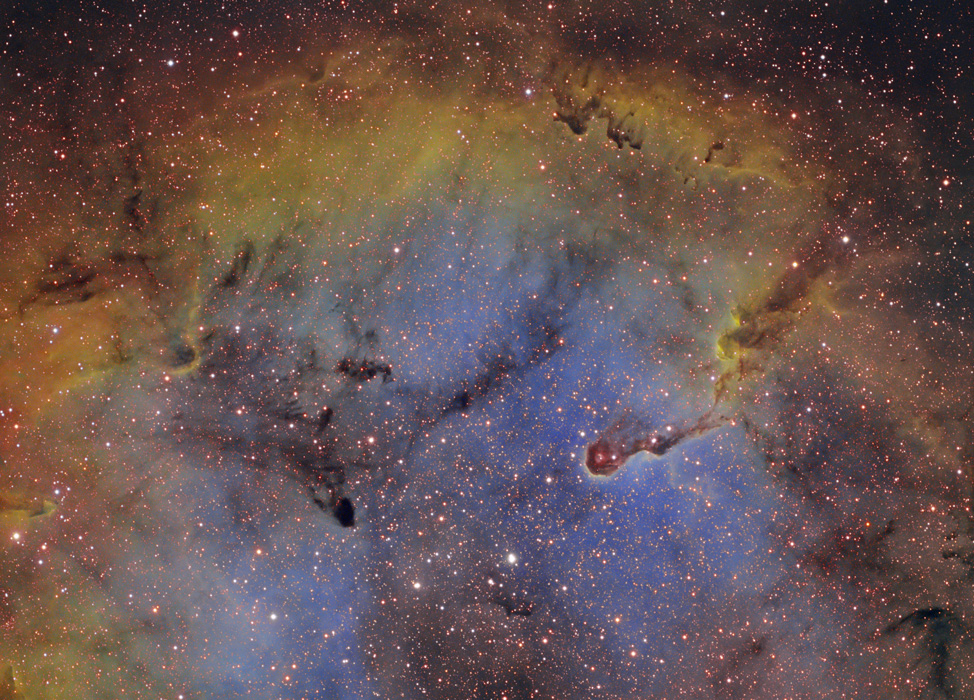 IC1396