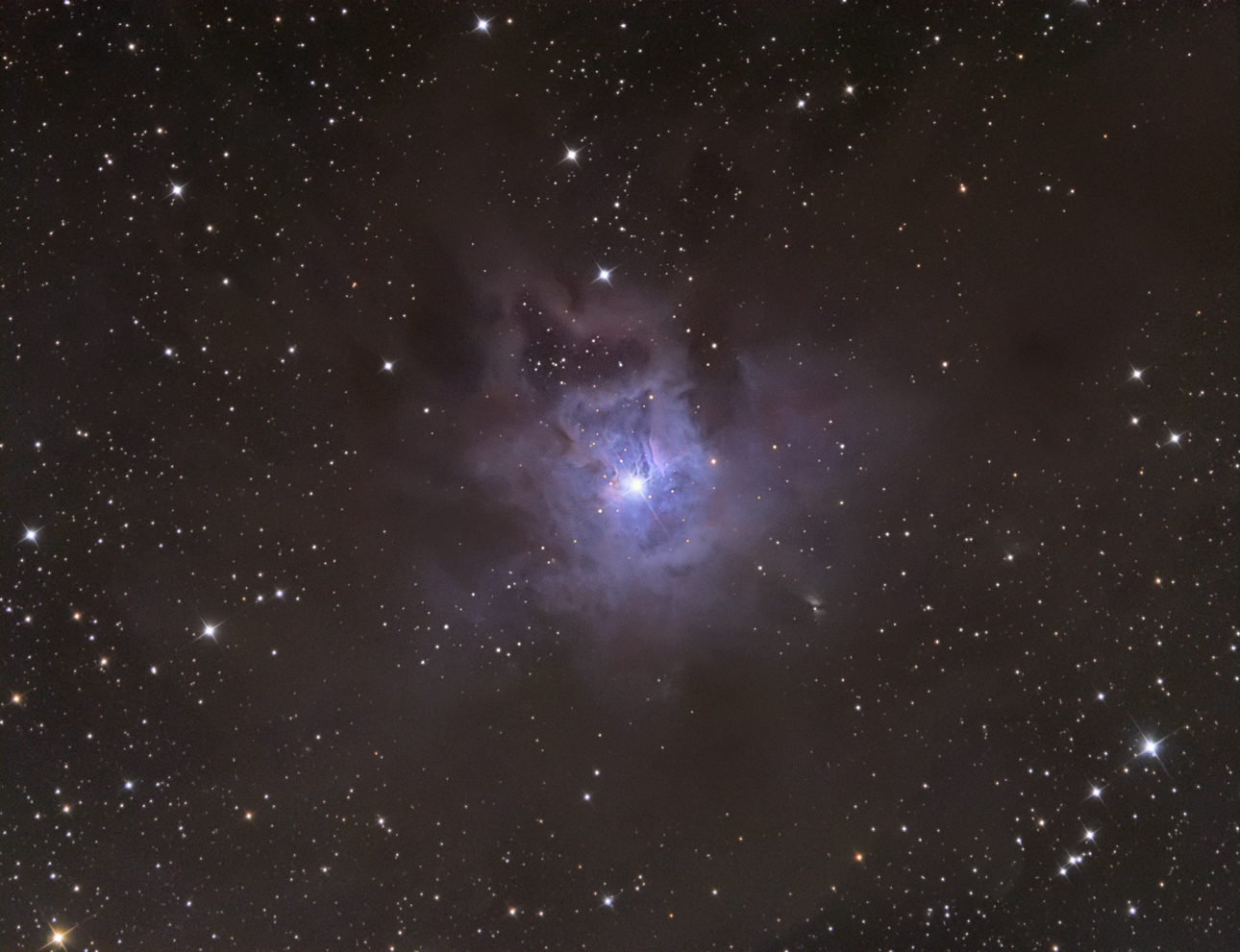 Iris Nebula