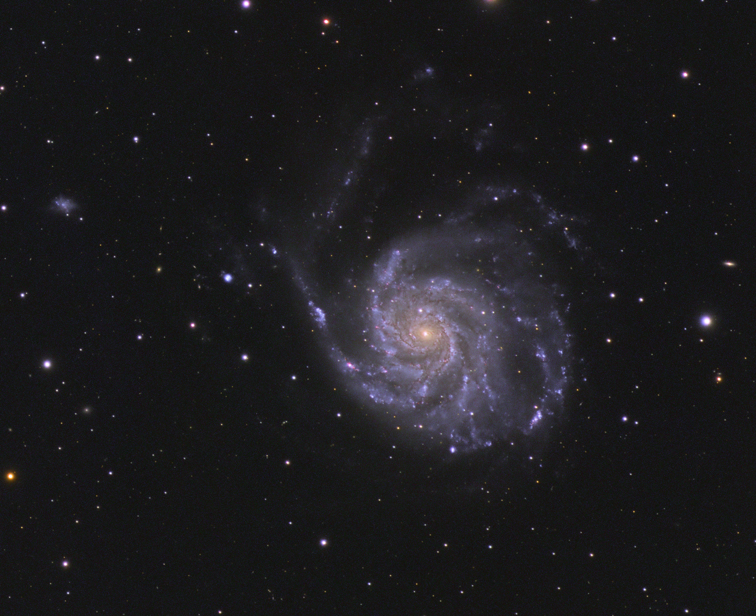 M101