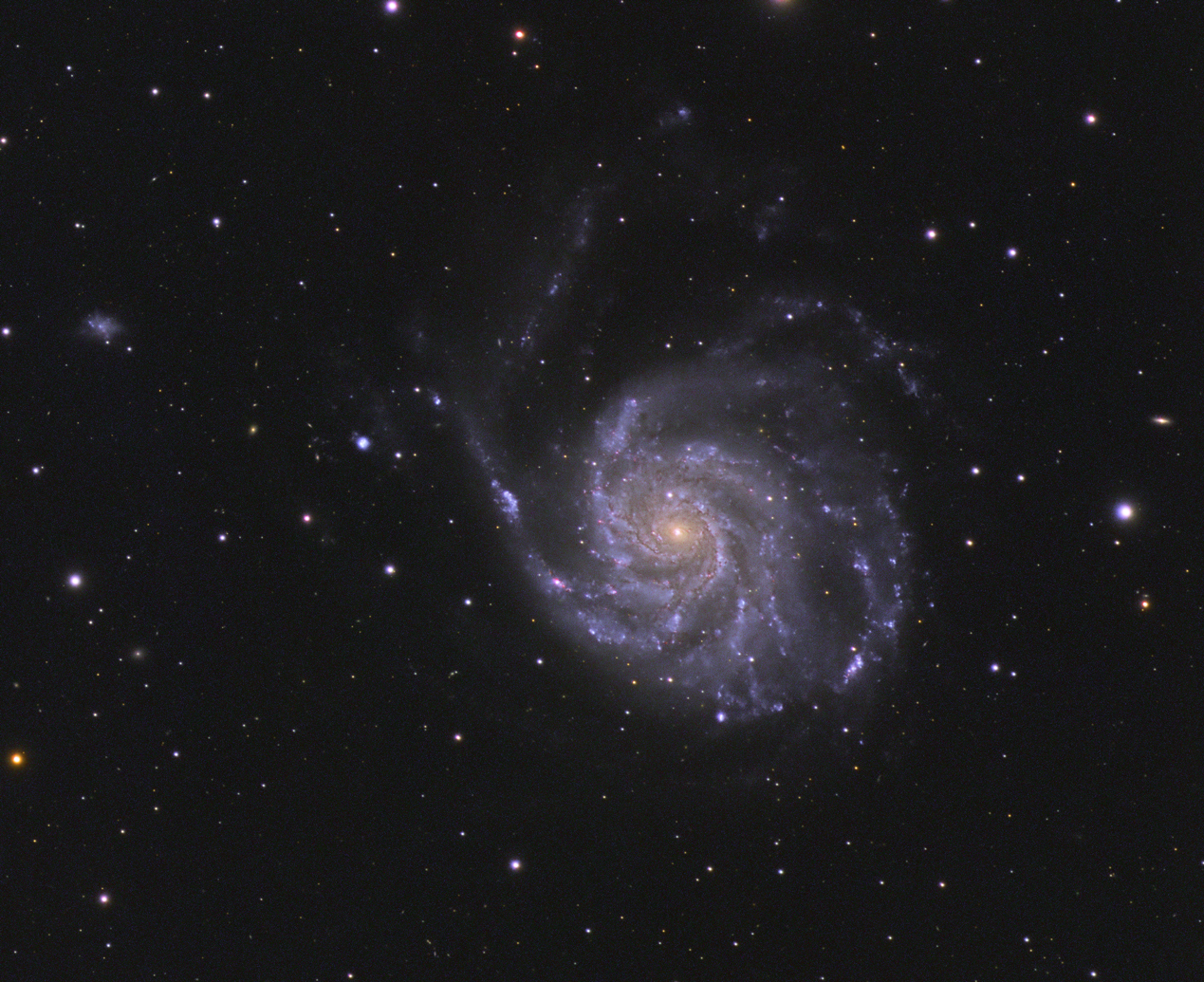 M101