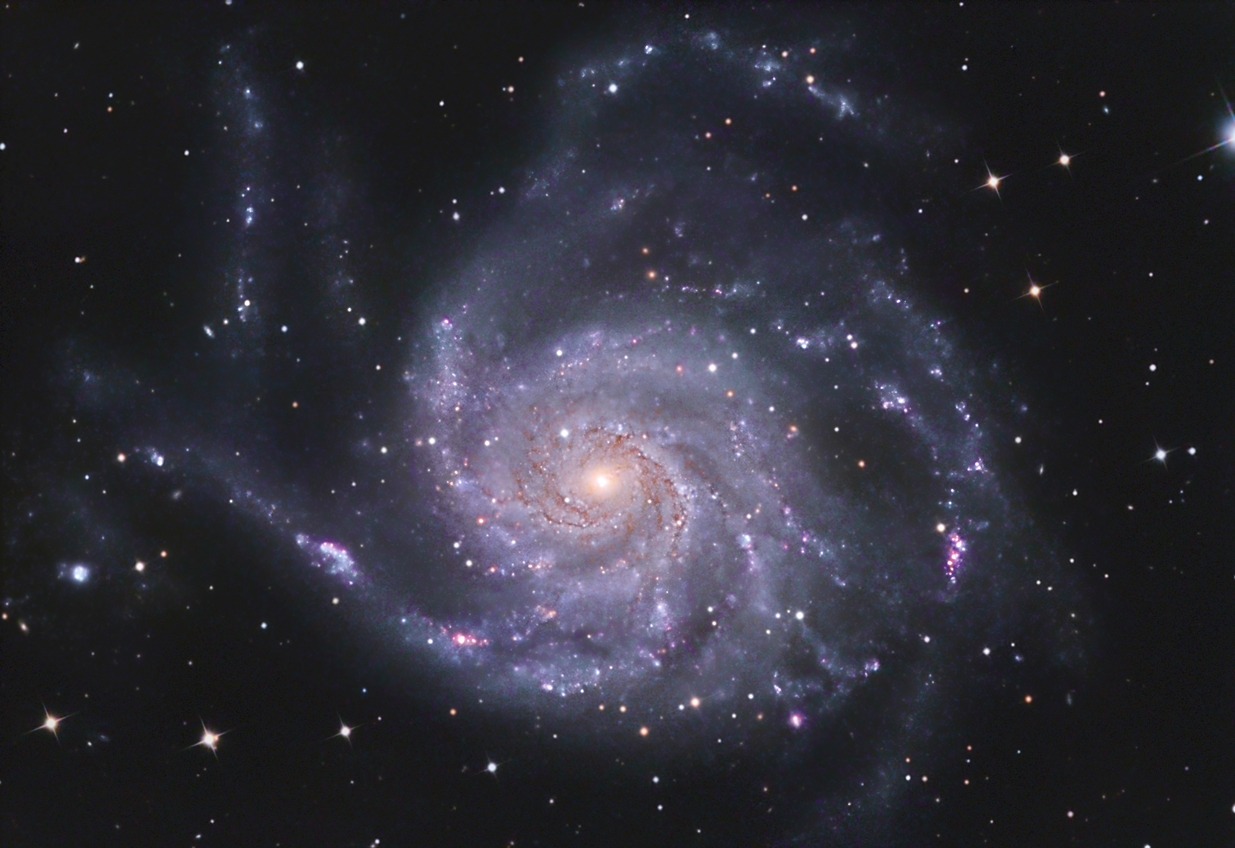 M101