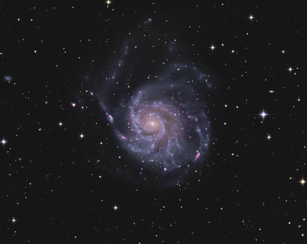 M101