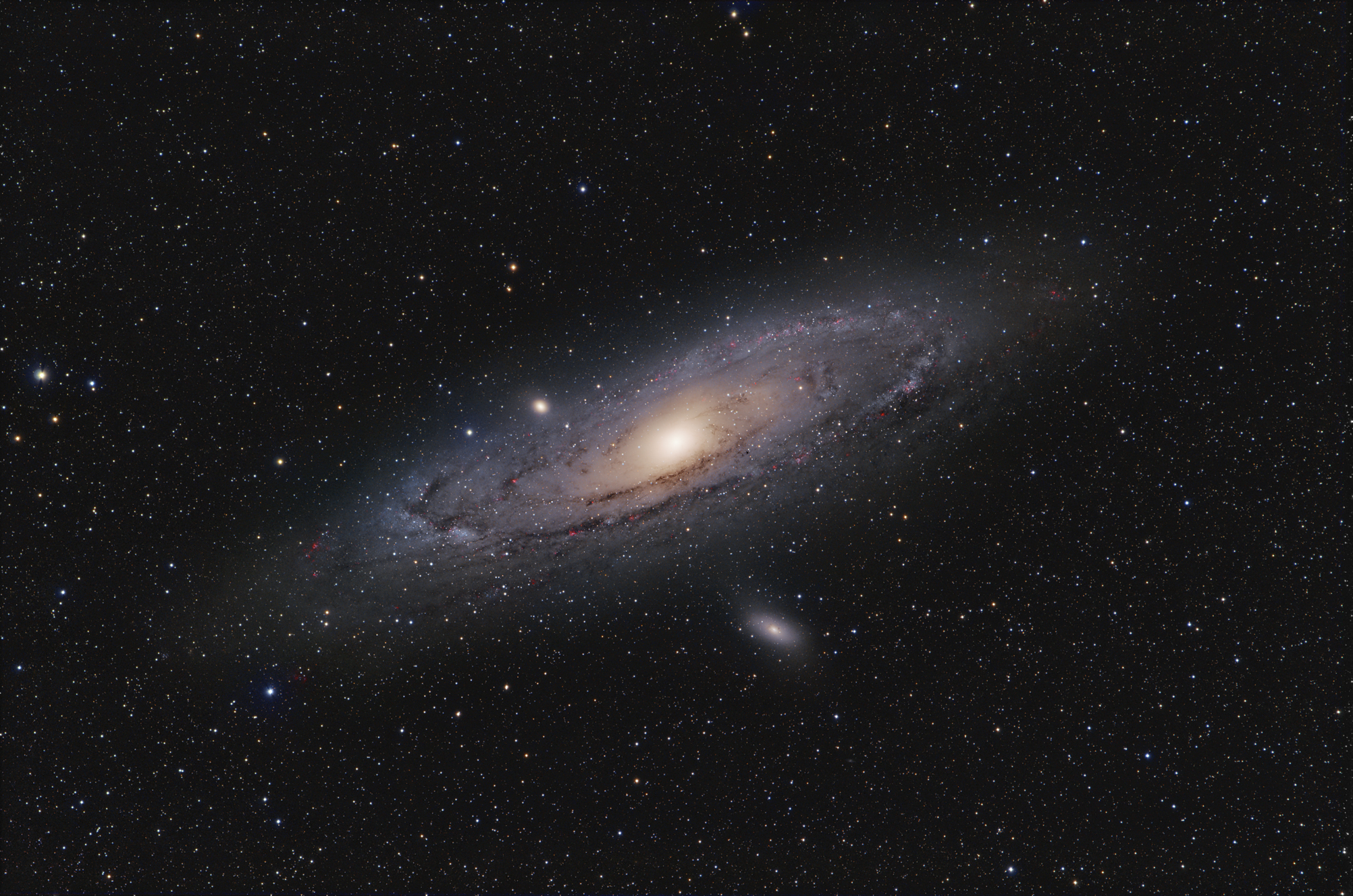 M31