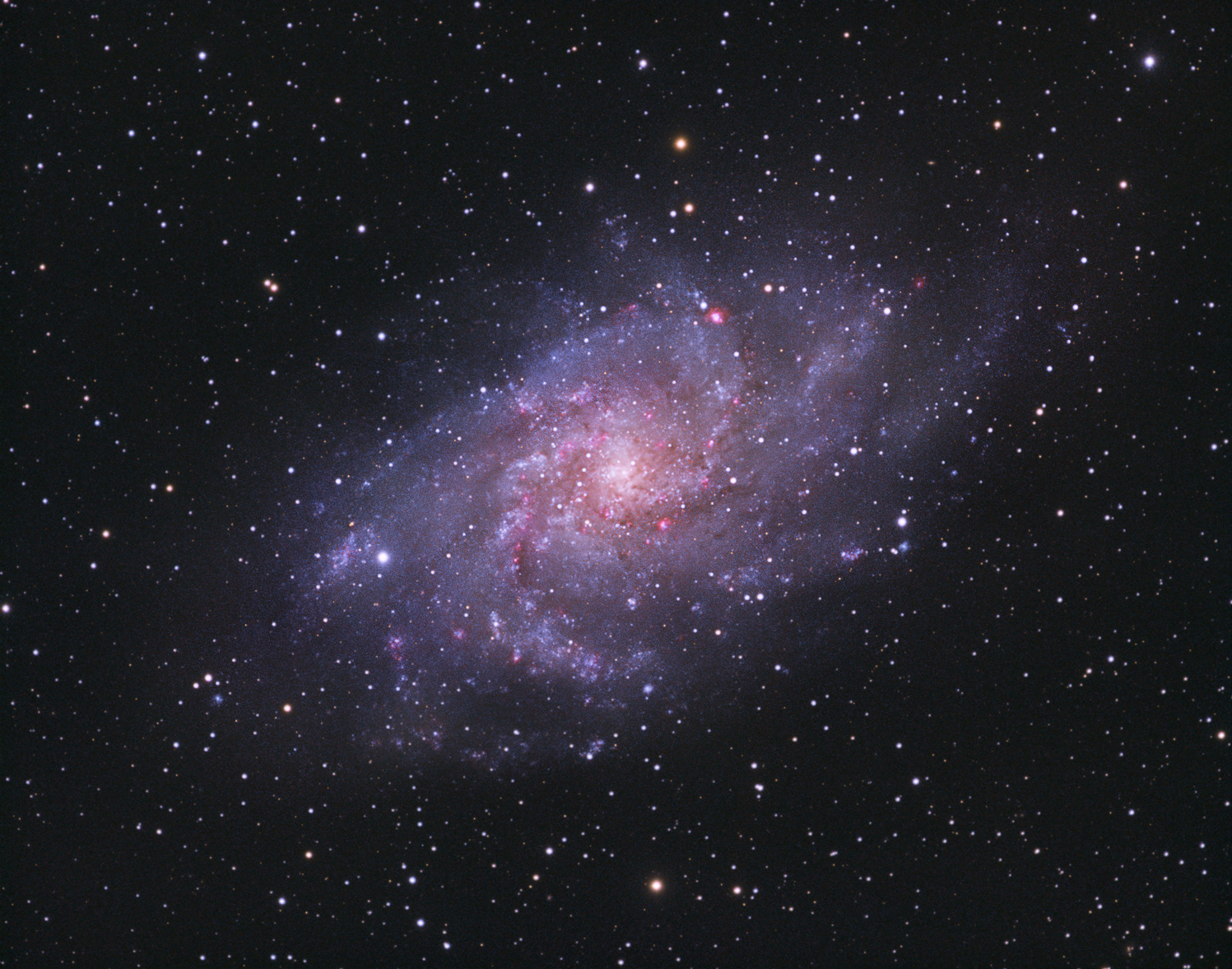 M33