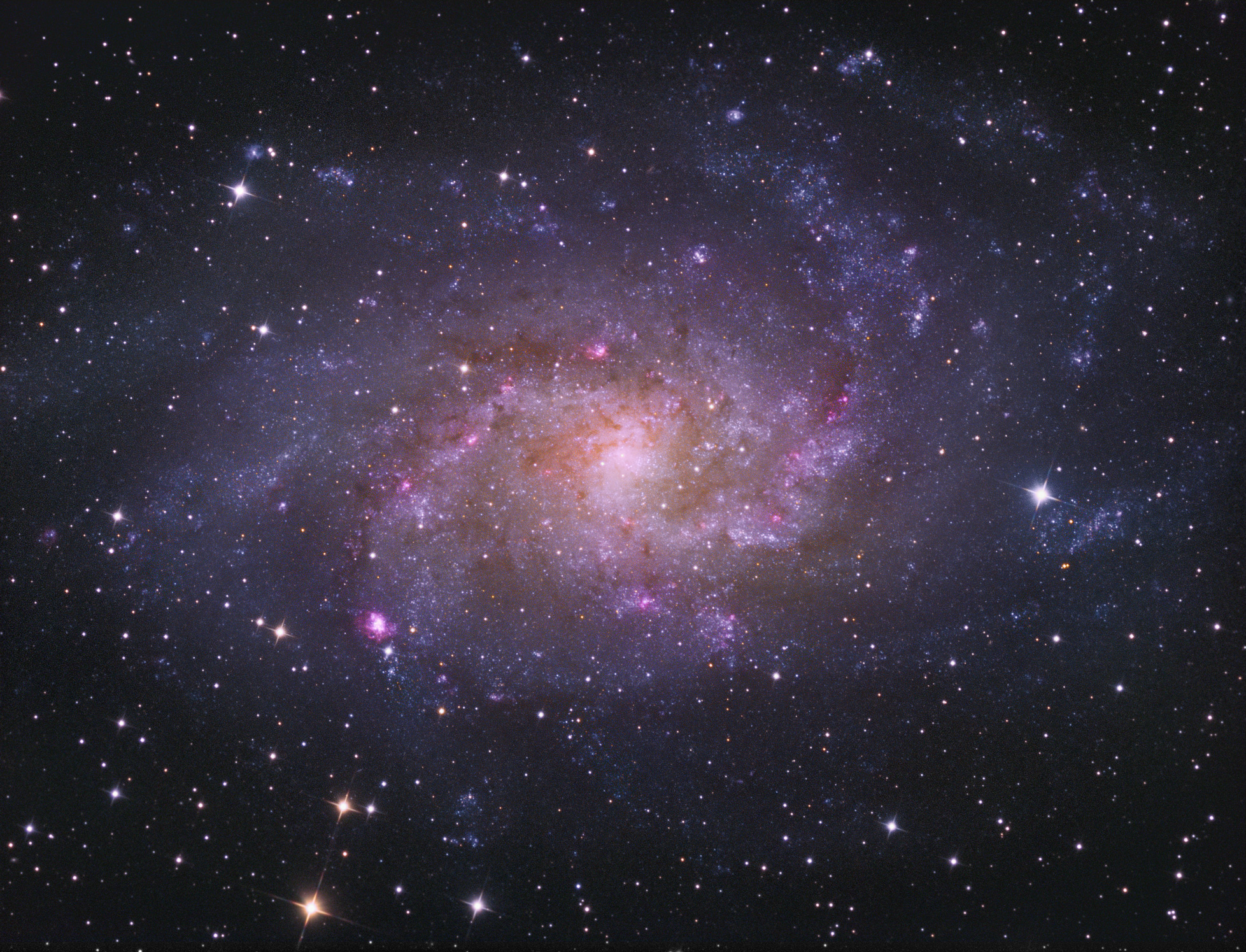 M33
