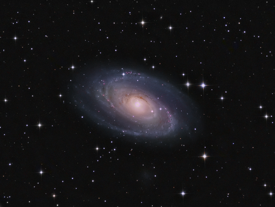 M81