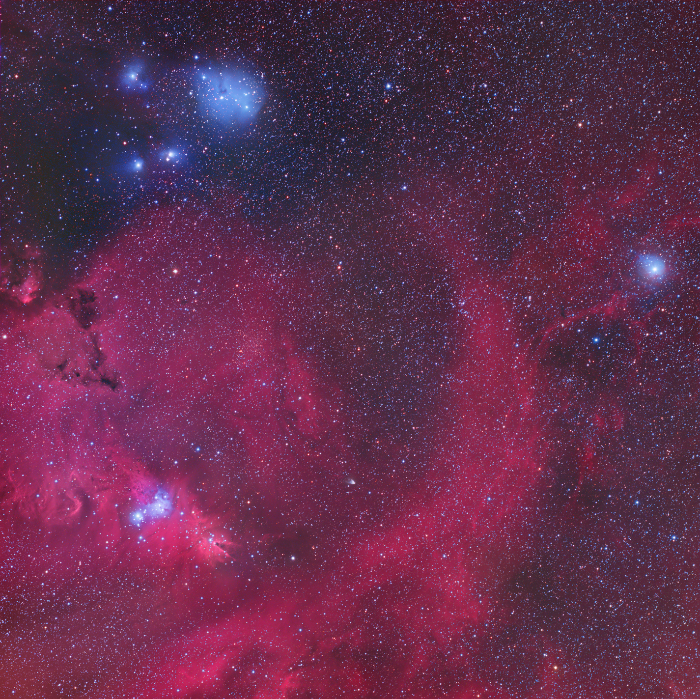 Monoceros Widefield