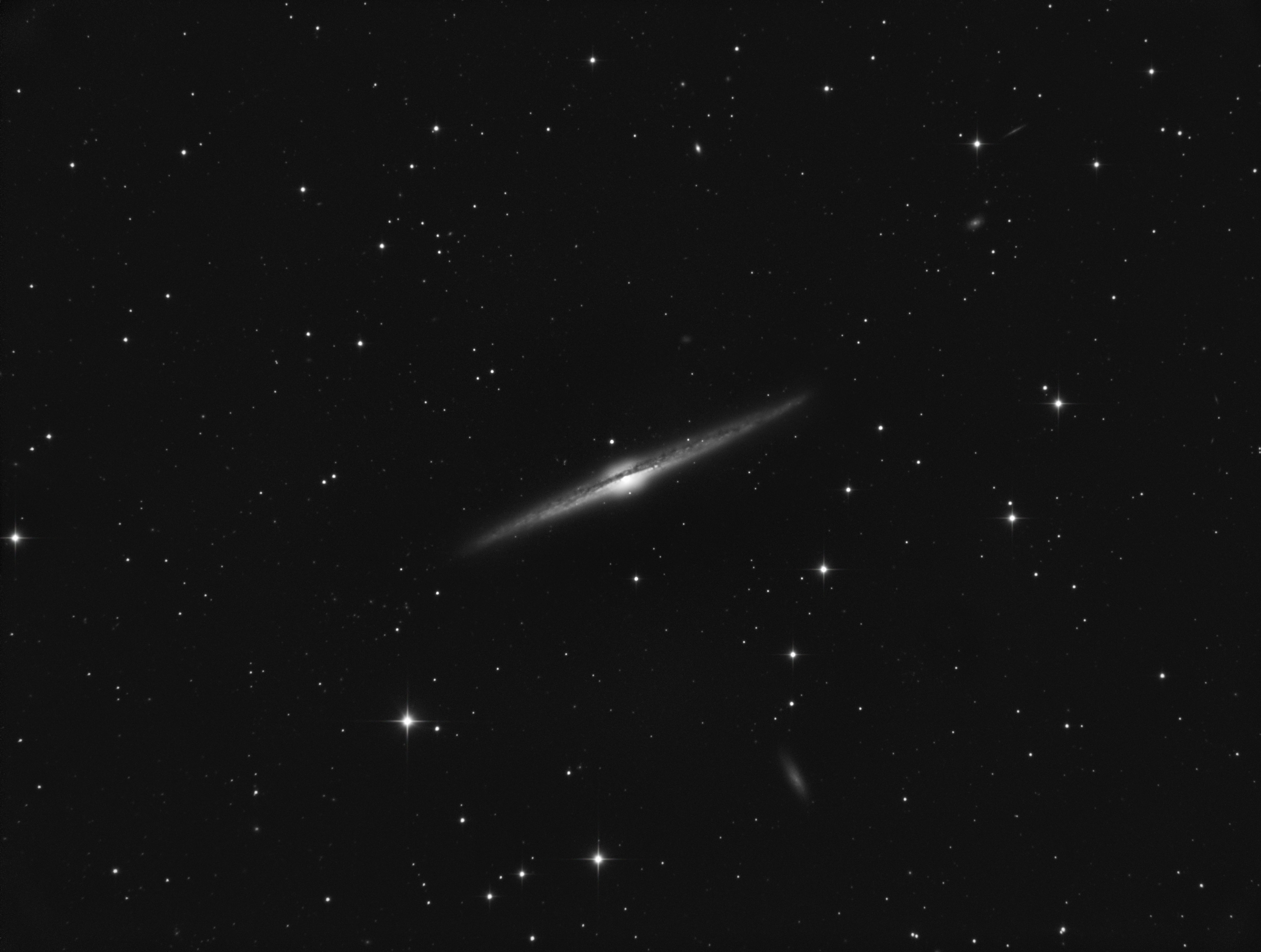 NGC 4565