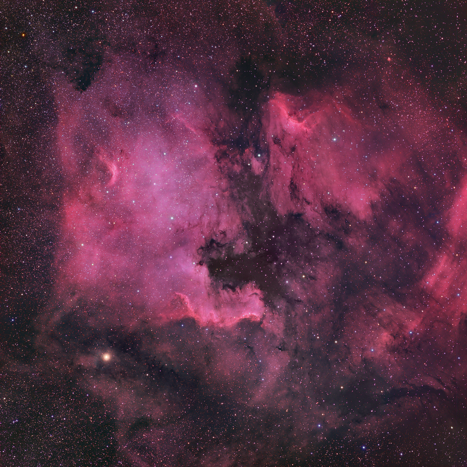 North America and Pelican Nebulae