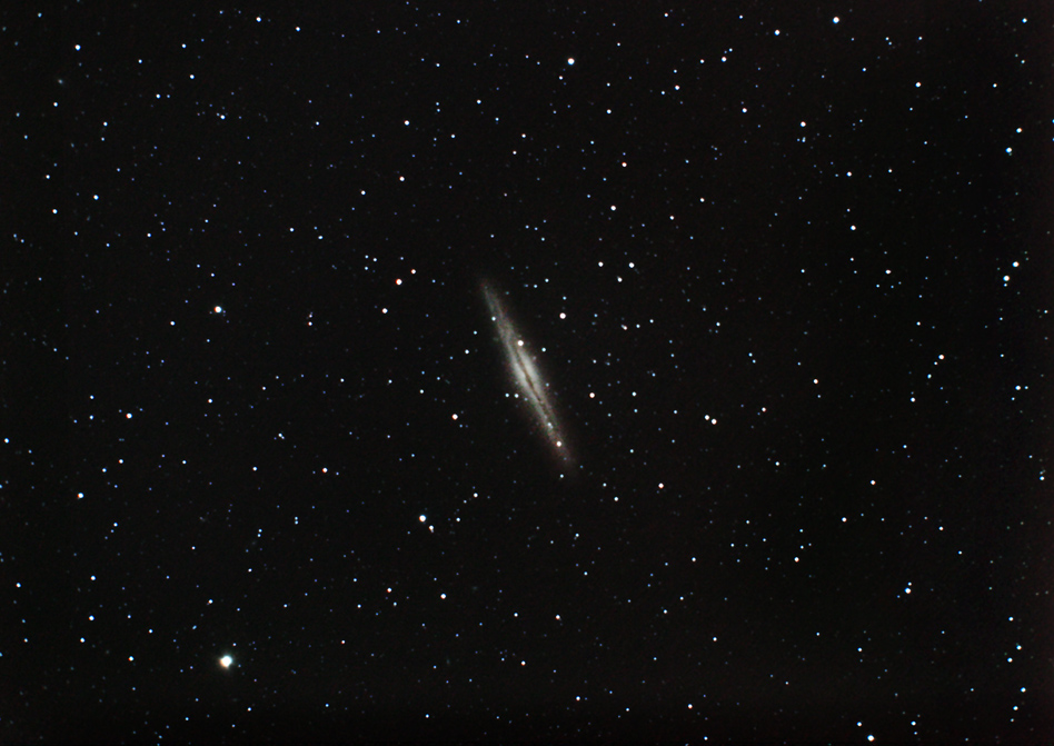 NGC 891