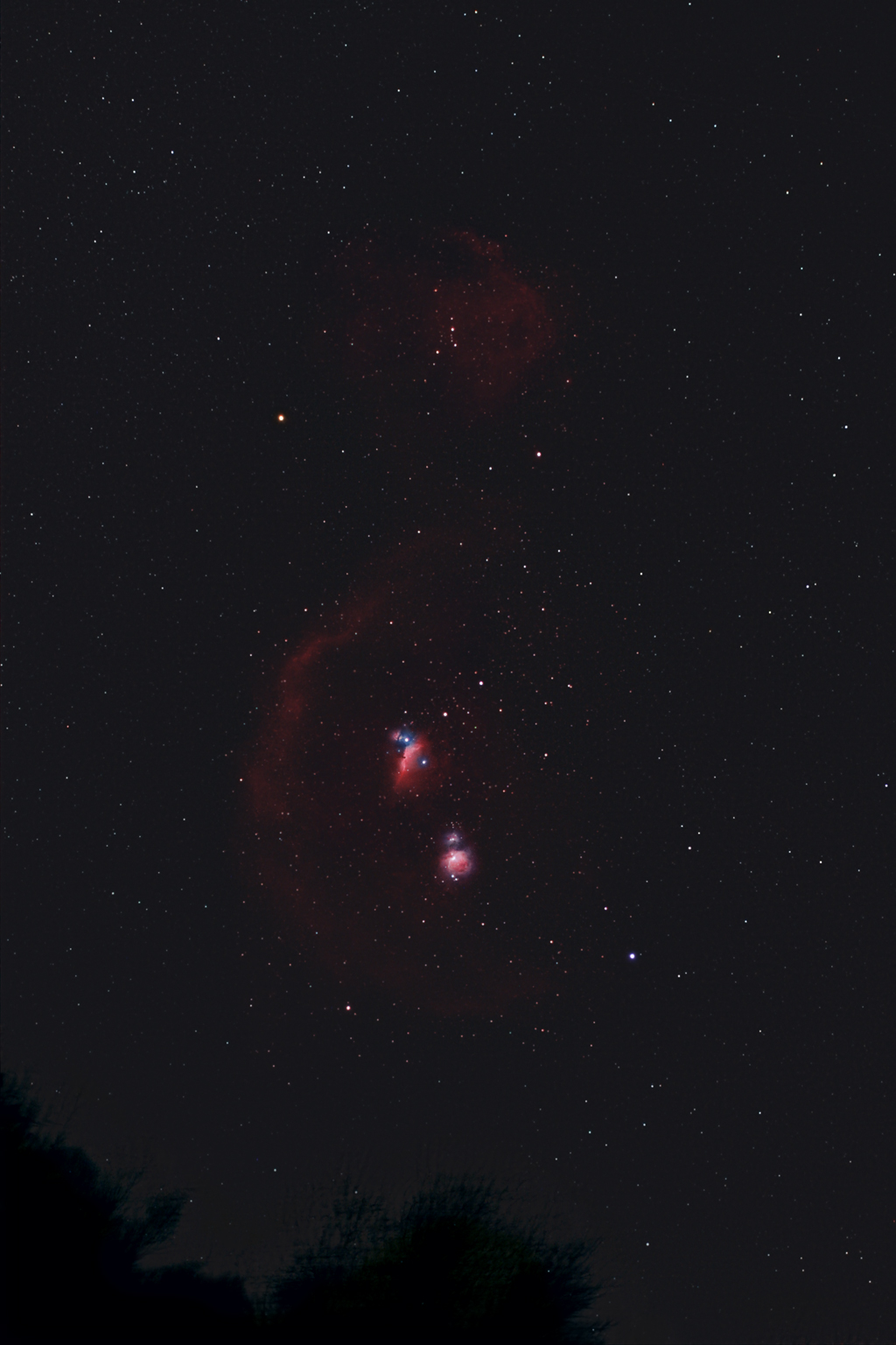 Orion
