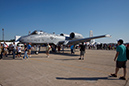 Warthog