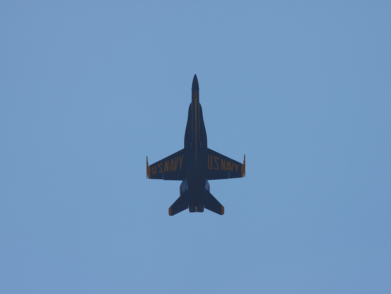 Blue Angels Q