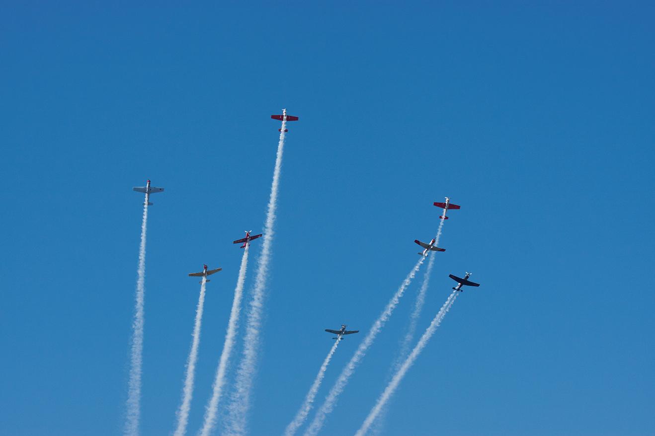 Red Star Formation Team D