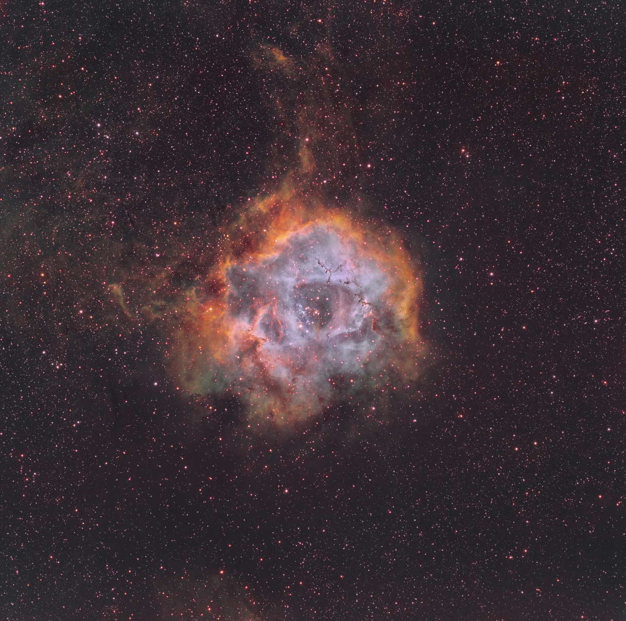 Rosette Nebula