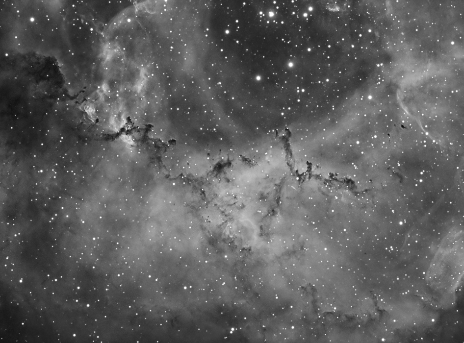 Rosette Nebula in Hydrogen Alpha