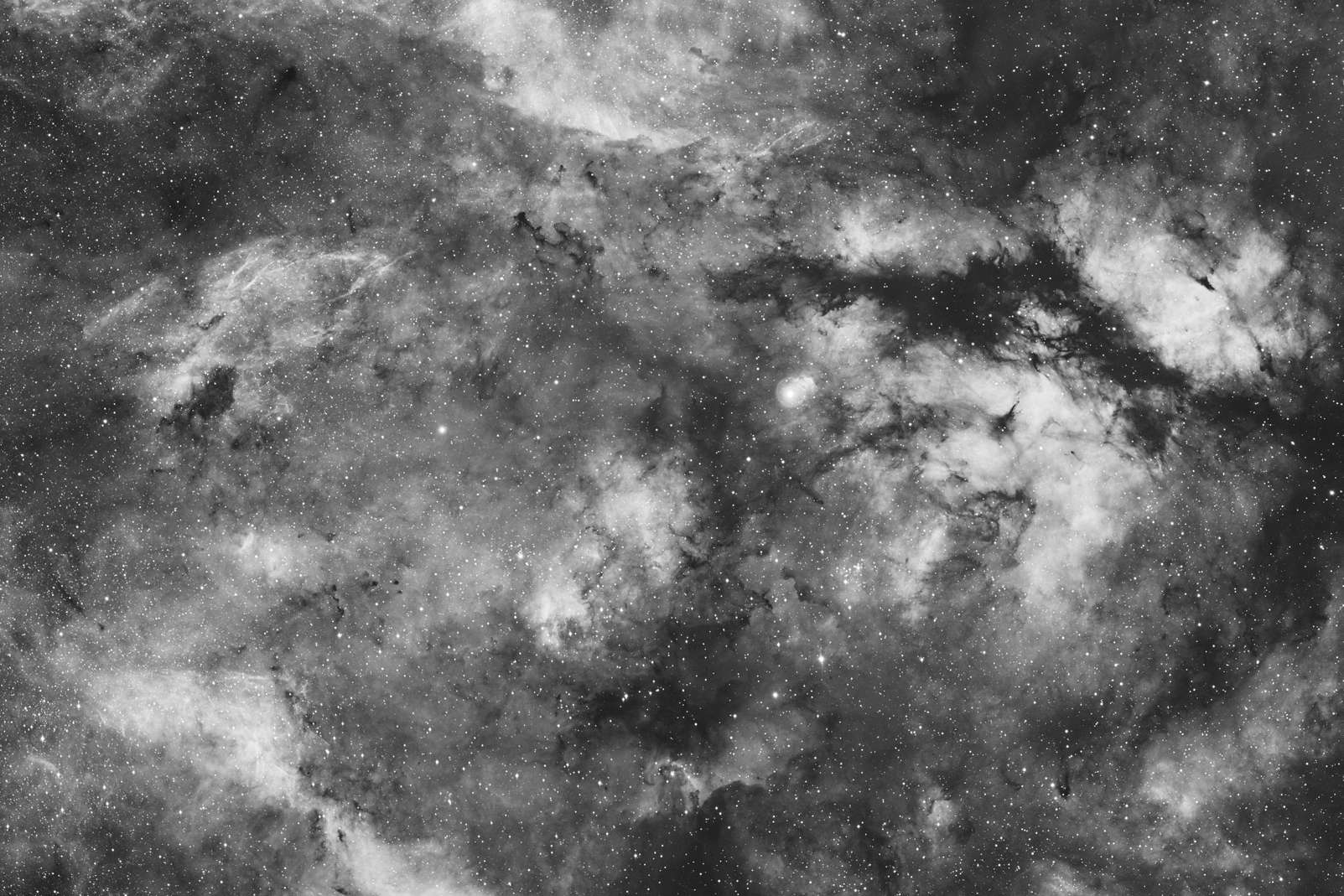 Cygnus starfield