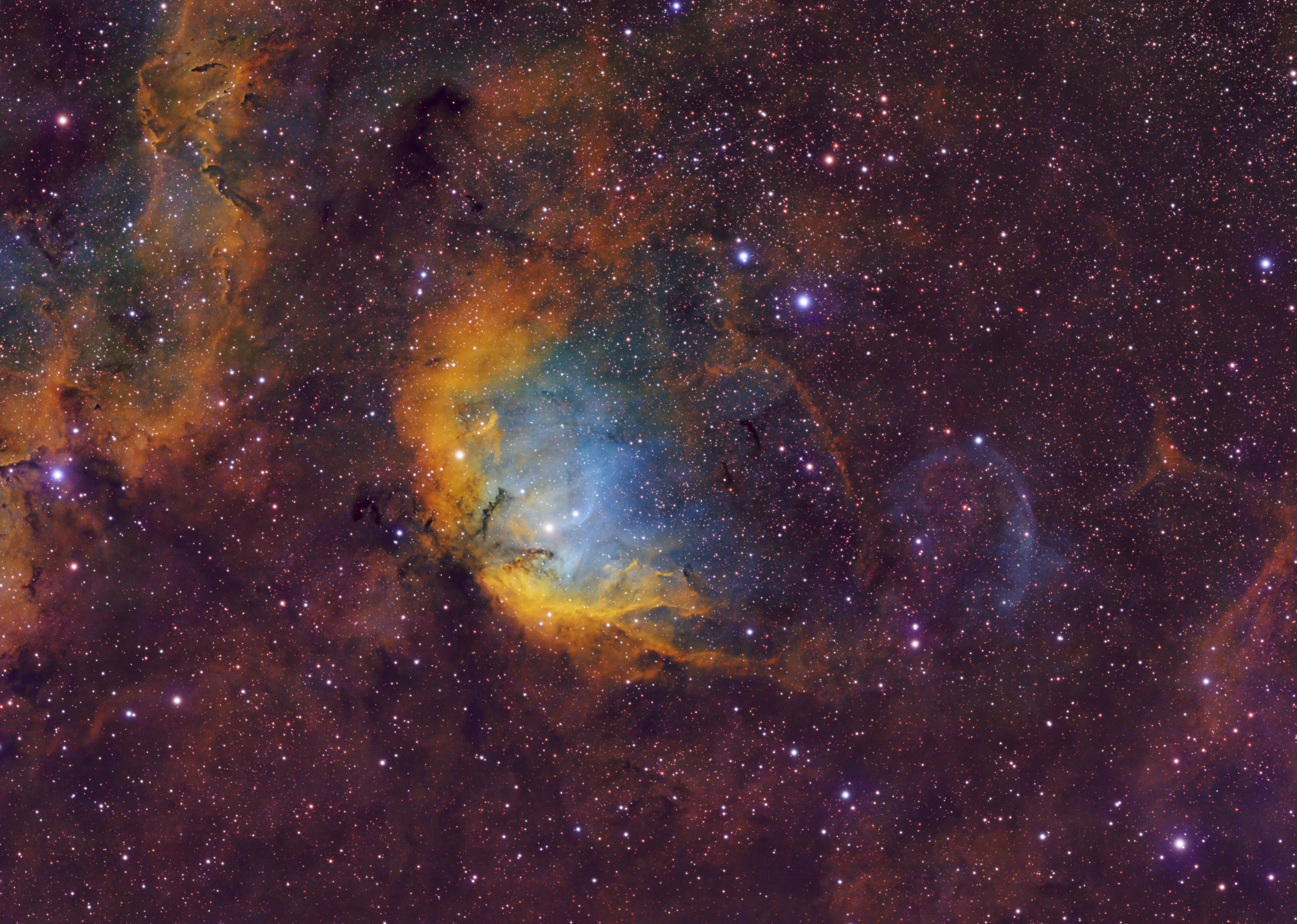 Tulip Nebula