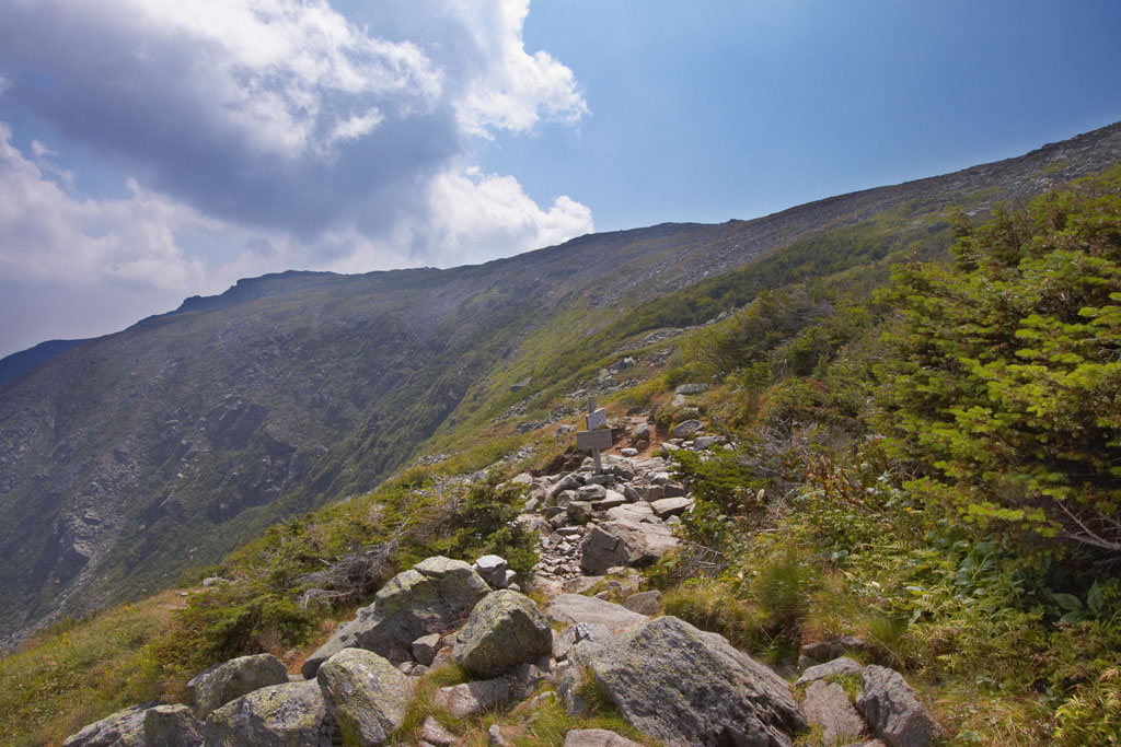 tuckermansign7
