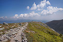 cairnslionhead1