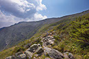 tuckermansign7
